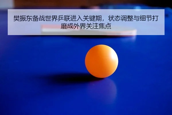 樊振东备战世界乒联进入关键期，状态调整与细节打磨成外界关注焦点
